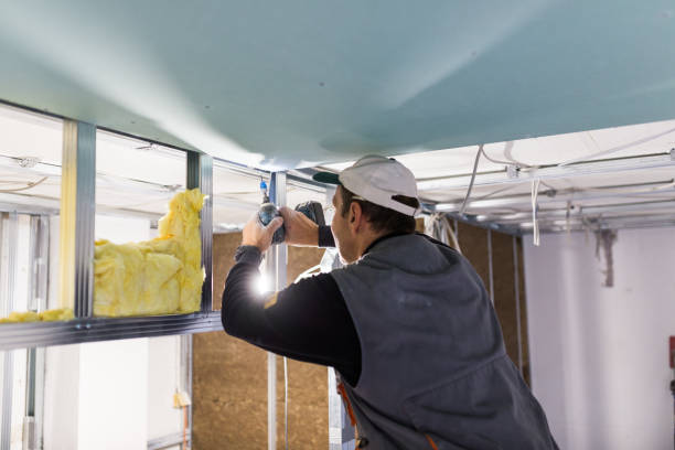 Best Residential Insulation Services  in Brawley, CA