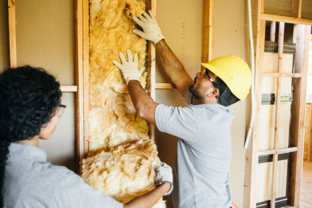 Best Affordable Insulation Services  in Brawley, CA