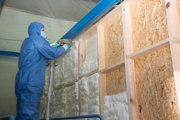 Best Insulation Replacement Services  in Brawley, CA